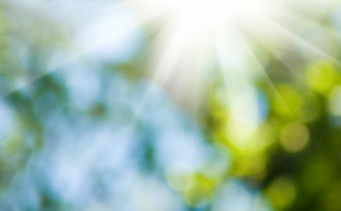 image of natural abstract background closeup